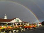 store rainbow resized-79